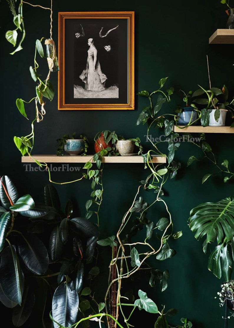 May include: A dark green wall with two wooden shelves holding potted plants. The shelves are decorated with small ceramic pots and a framed black and white print of a woman in a dress. The text "TheColorFlow" is visible on the bottom shelf.