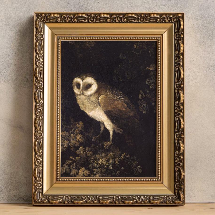 antique owl painting, dark academia wall art, dark moody bird print, owl print, vintage animal wall