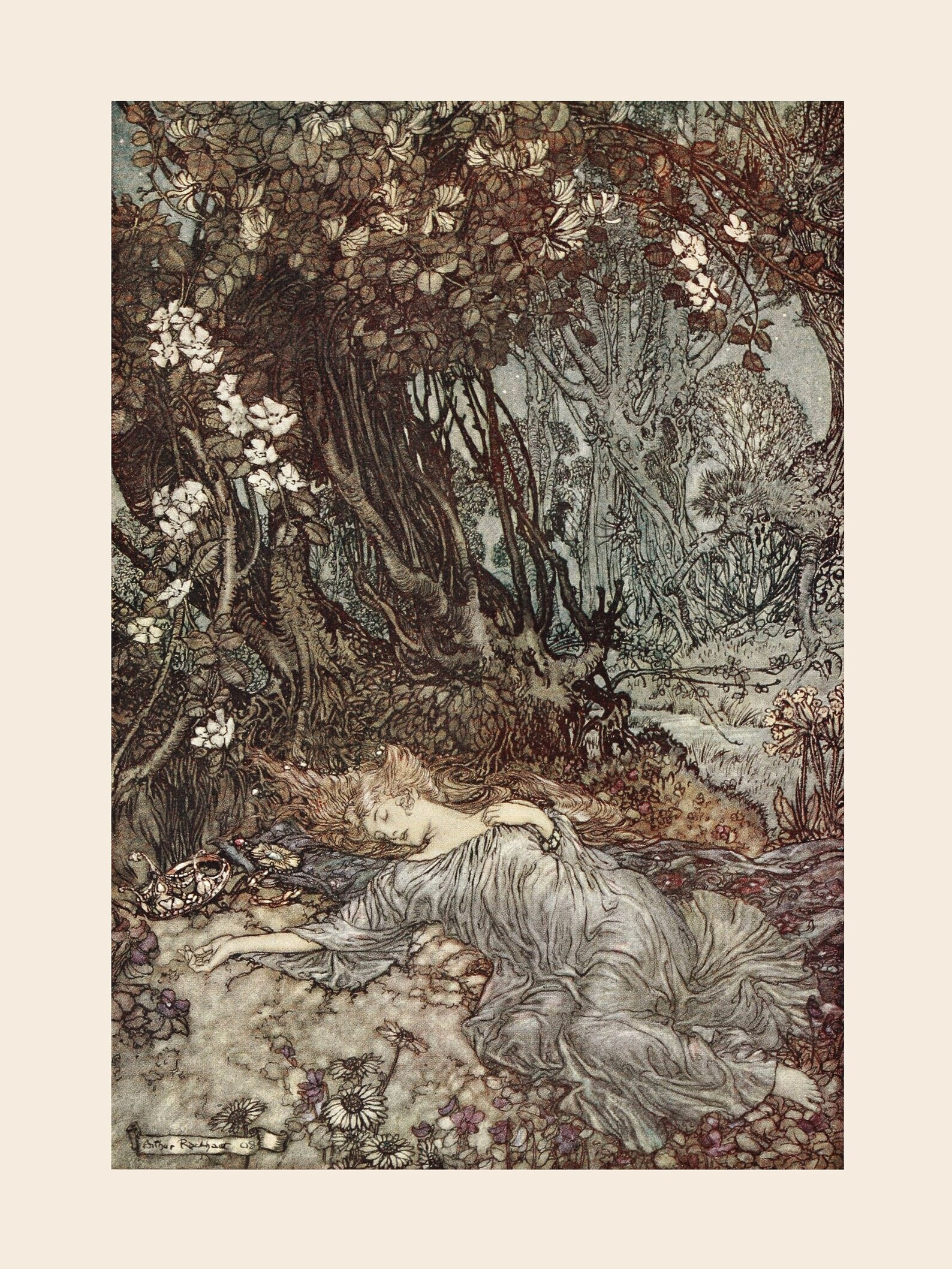 Titania Lying Asleep Arthur Rackham Print William | Etsy