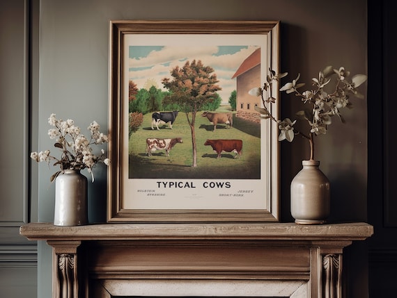 retro cow art print, farmhouse wall art, cottage core art print, vintage farm poster, farm animal, cow breed wall art, highland cow print