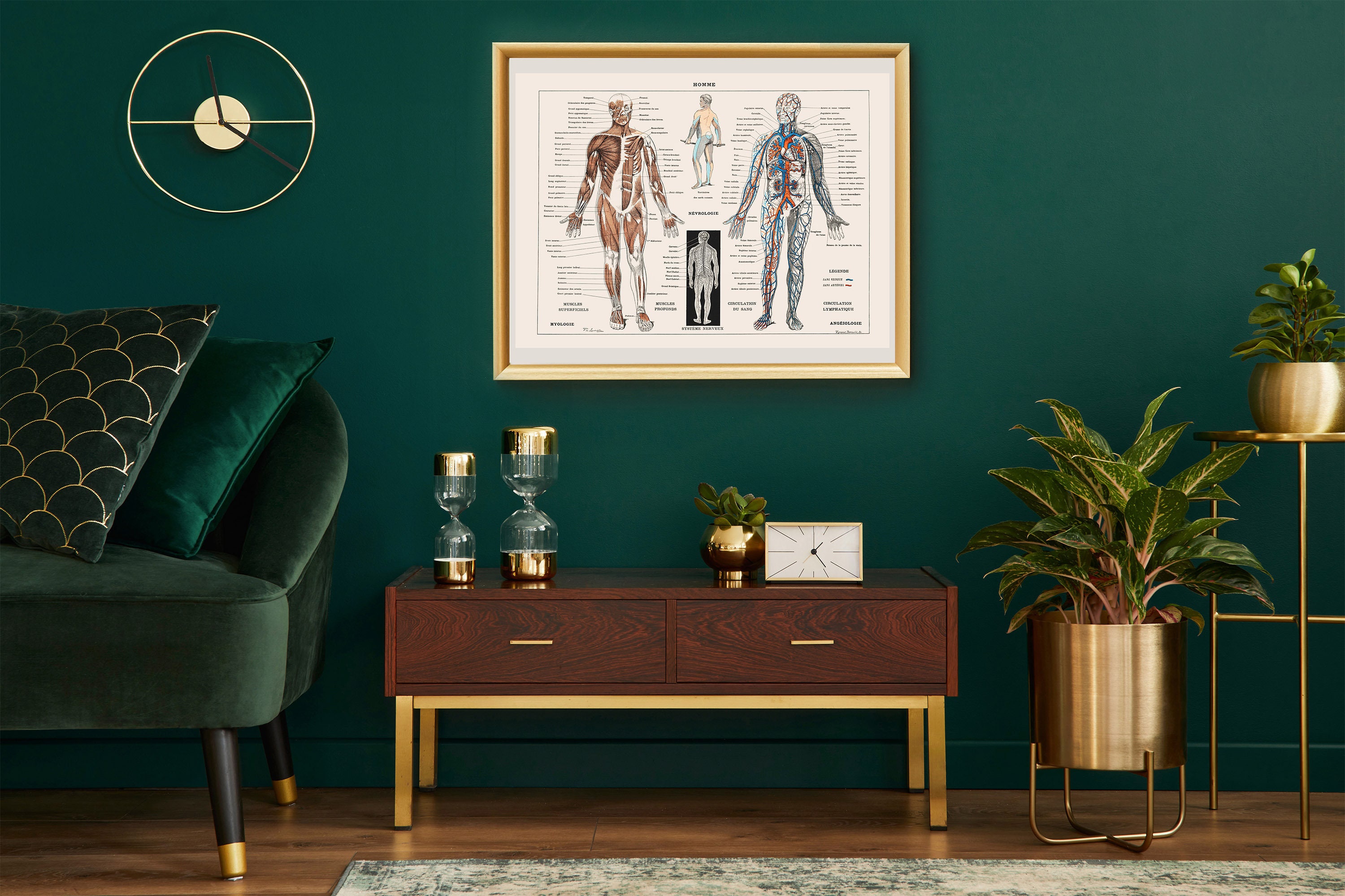 Human Anatomy Poster, Vintage Skeleton Art Print, Muscle Chart, Medical ...