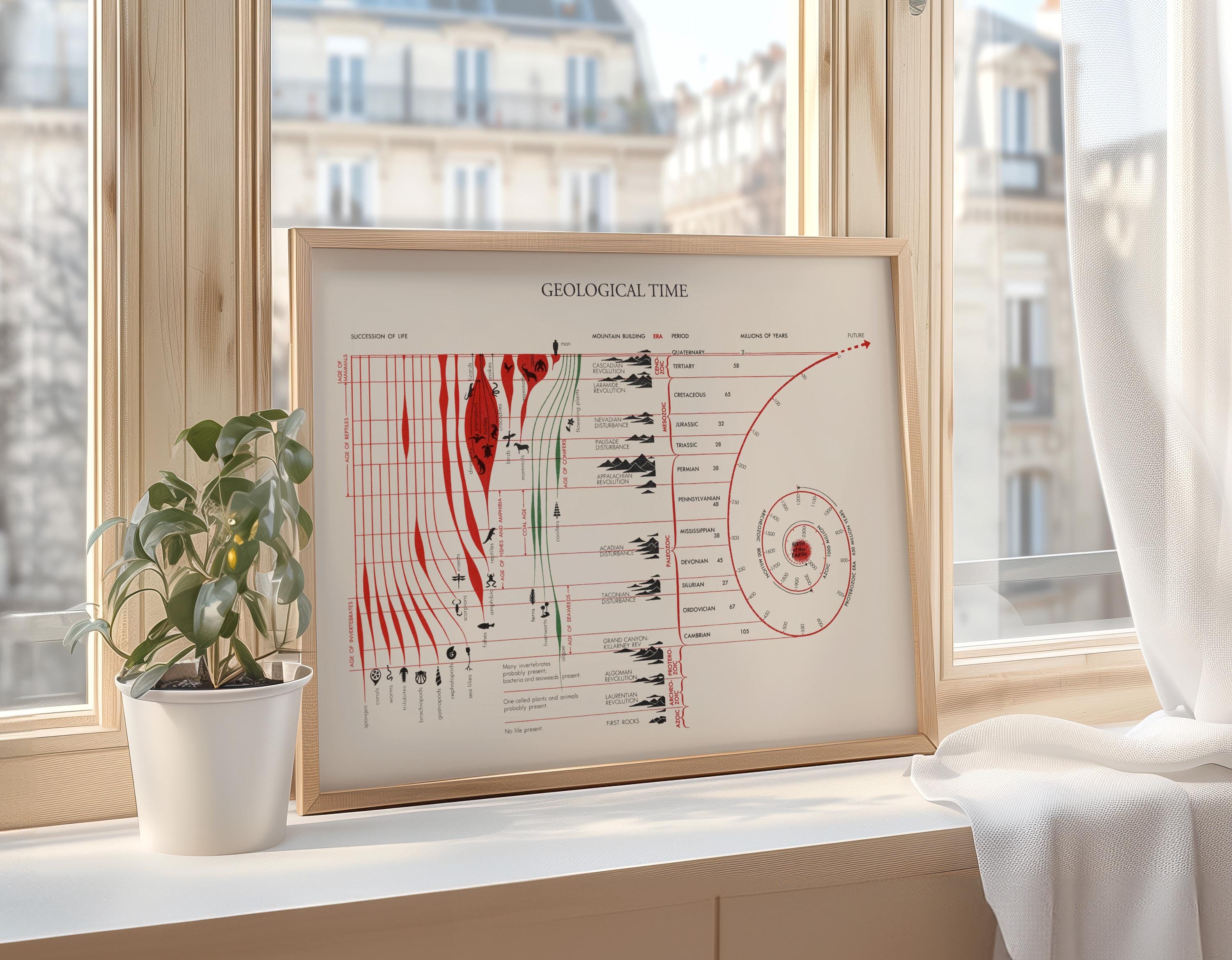 Geology Print, Geological Time Print, History of Life Chart, Geology ...