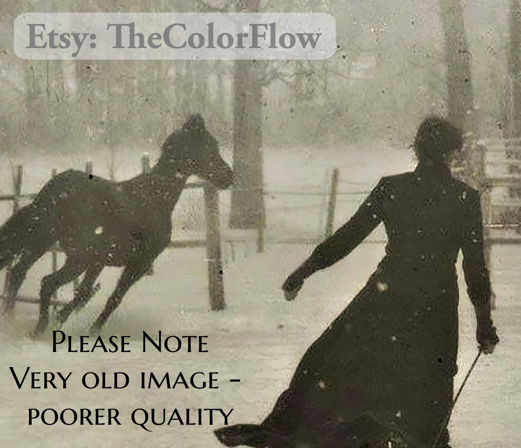Antique Horse Print, Vintage Victorian Photo Print, Victorian Woman and ...