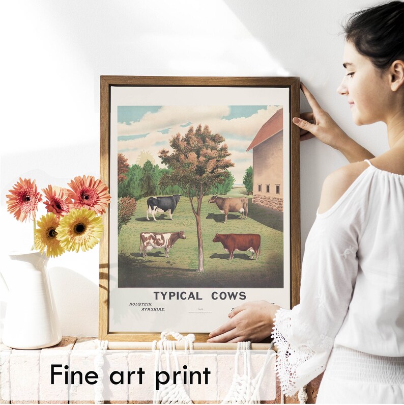 May include: A framed vintage print of a farm scene with five cows in a field. The print is titled "Typical Cows" and includes the breeds Holstein and Ayrshire. The print is in a brown frame and is hanging on a white wall.