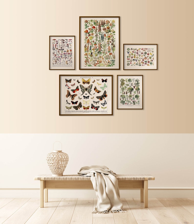 K&ouml;nnte beinhalten: F&uuml;nf gerahmte botanische Drucke an einer hellbeigen Wand mit einem wei&szlig;en Sockel. Die Drucke zeigen Illustrationen von Blumen, Schmetterlingen, Pilzen, Fr&uuml;chten und B&auml;umen. Eine Holzbank mit einer wei&szlig;en Wolldecke steht vor der Wand.
