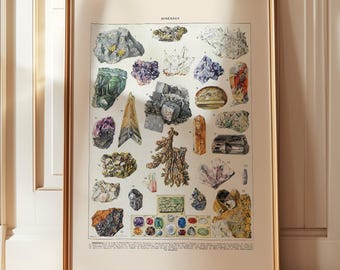 mineralenposter, kristallen plankdecor, mineralenkaart, vintage natuurlijke historie, edelstenenafdruk, mineralogie, kristalesthetiek, geologieafdruk