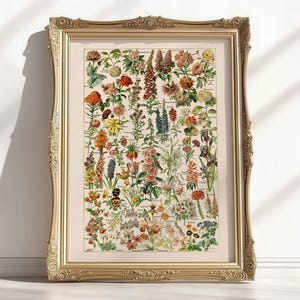 Antieke bloemenprint, vintage bloemillustratie, cottage tuin bloemenprint, vintage bloemenposter, vintage botanische kunst, bloemenkaart