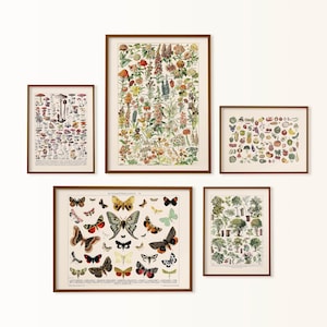cottagecore fotowand, bos fotowand set, vintage natuurprint set van 5, botanische grafiek, boerderij wanddecor, meerhuisdecor