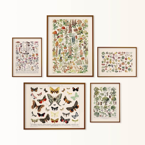 cottagecore gallery wall, forest gallery wall set, vintage nature print set of 5, botanical chart, farmhouse wall decor, lakehouse decor