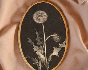 Mini ovale paardenbloemkunst, ovale paardenbloemprint, klein bloemenschilderij, bloemenprint op canvas, bloemdecoratie in cottagecore-stijl
