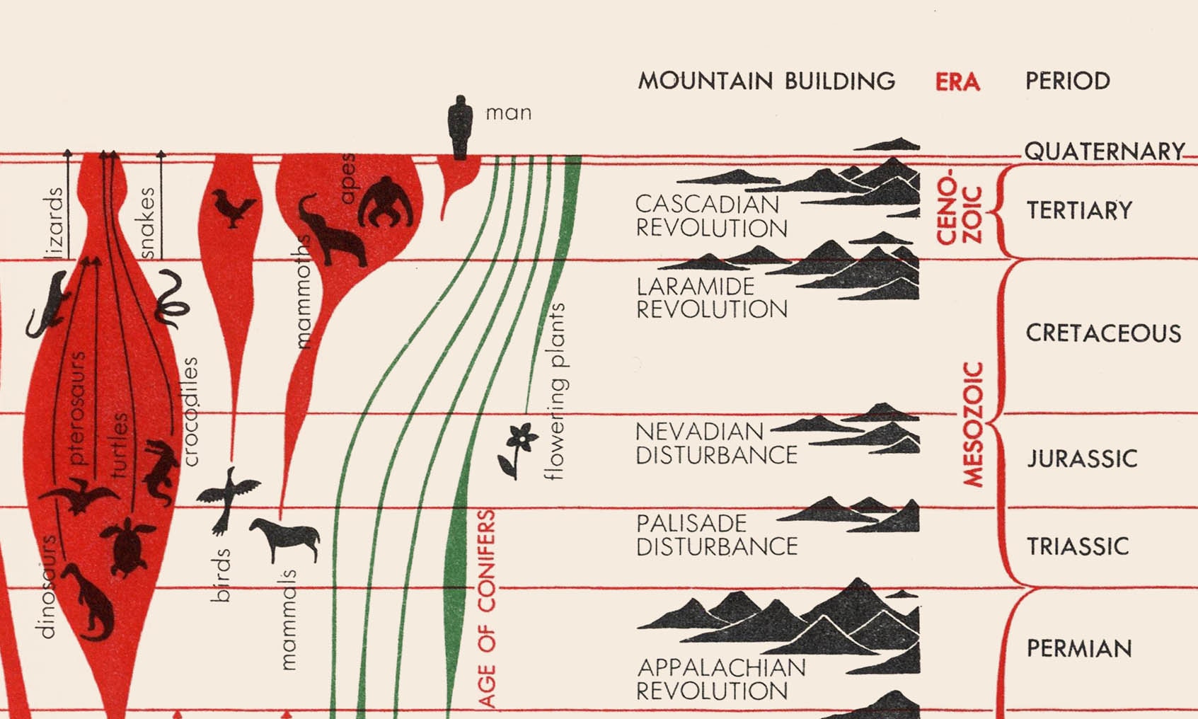 Geology Print Geological Time Print History of Life Chart - Etsy UK