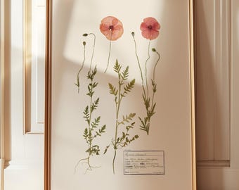 Poppy Wall Art Print: Pressed Flower Canvas - Vintage Herbarium Style
