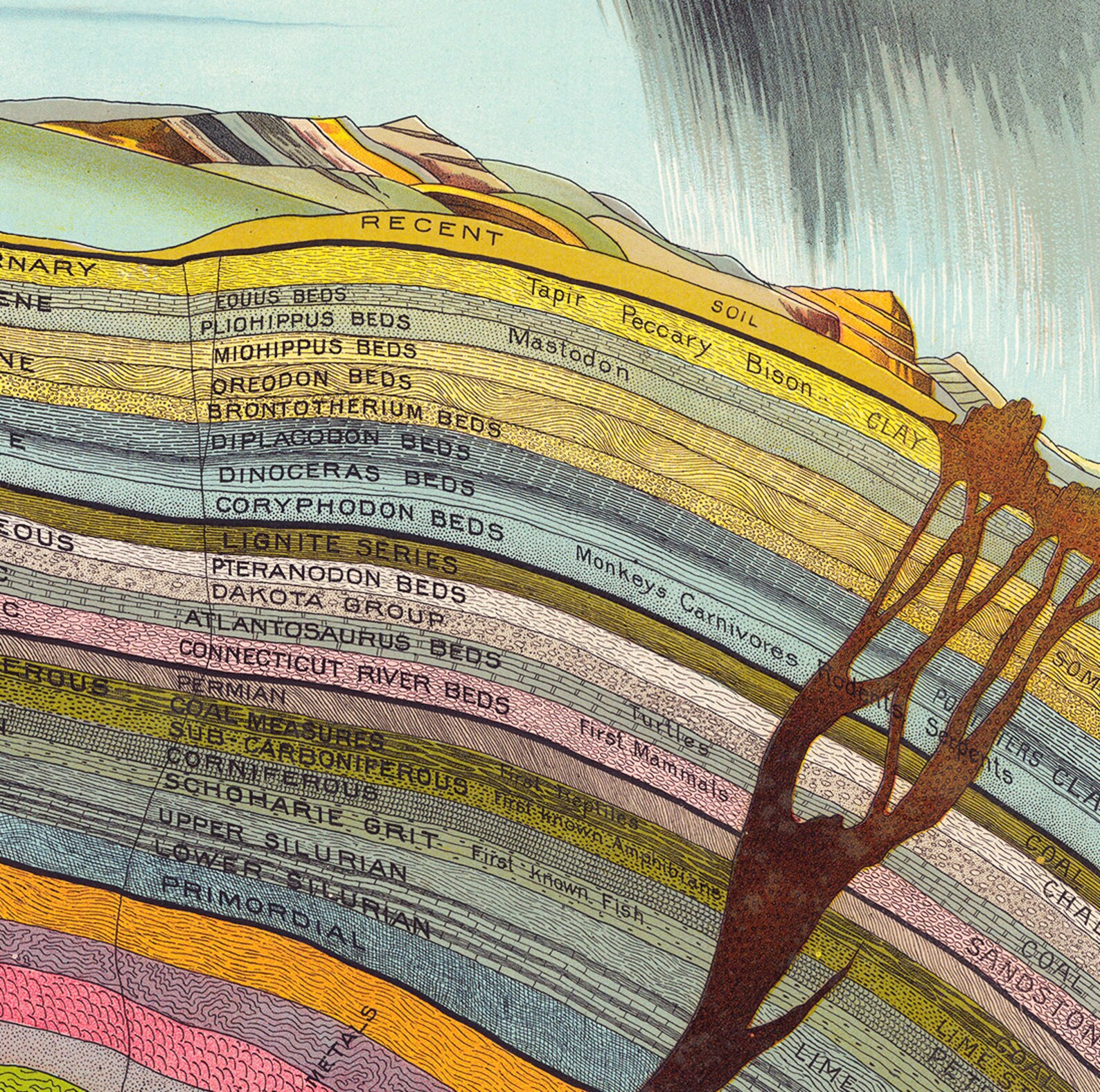 Geology Art Geology Poster Geology Gifts Geology Art Print Etsy