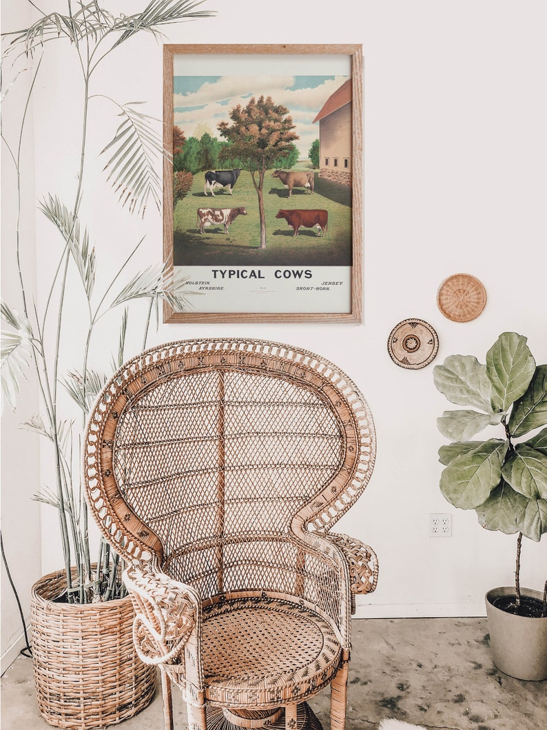 May include: A vintage poster with an illustration of four cows in a field. The poster is framed in wood and has the text "Typical Cows" at the bottom. The poster is hanging on a white wall in a room with a wicker chair and plants.