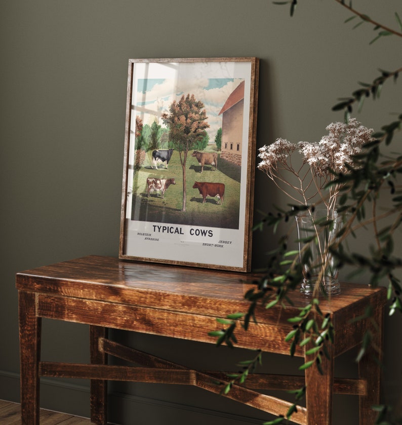 May include: A framed vintage illustration of four different breeds of cows, labeled "Typical Cows" with the breeds listed below. The illustration shows the cows in a grassy field with a barn in the background.