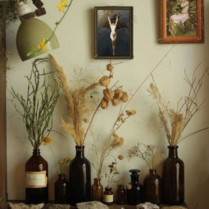 Op de afbeelding: Een stilleven met gedroogde bloemen en planten in bruine glazen flessen op een houten plank. De flessen zijn in een rij geplaatst en gevuld met verschillende gedroogde bloemen en planten. Er hangen twee ingelijste foto's aan de muur achter de flessen. De ene foto toont een vrouw met vleugels, de andere foto toont een vrouw in een bosrijke omgeving.
