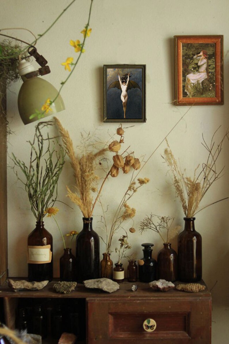 Op de afbeelding: Een stilleven met gedroogde bloemen en planten in bruine glazen flessen op een houten plank. De flessen zijn in een rij geplaatst en gevuld met verschillende gedroogde bloemen en planten. Er hangen twee ingelijste foto's aan de muur achter de flessen. De ene foto toont een vrouw met vleugels, de andere foto toont een vrouw in een bosrijke omgeving.