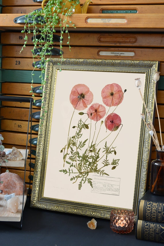 Pressed wildflowers framed. Cottagecore decor table frame.
