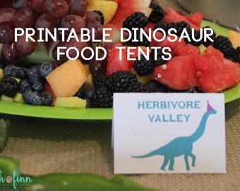 Dinosaurier Essen Zelten druckbare Dinosaurier Geburtstag Party Dekor Lebensmittel Etiketten Instant Download Tischkarten bearbeitbar Jurassic Girl moderne Dino