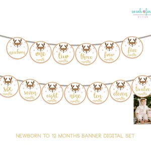 Reno bebé hito banner conjunto recién nacido a 12 meses banner imprimible archivos digitales Navidad bebé primer cumpleaños banner DIY niño