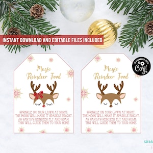 Magic Reindeer Food Tags Instant Download and Editable Files Printable Birthday Kids Christmas Winter Magic Reindeer Food School Gift Tags