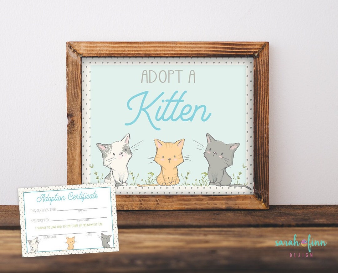 Adopt a Kitten Sign and Certificate Kitty Printable Blue Boy Cat ...