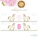 Adopt a Pony Printable Sign and Certificate Girl Horse Birthday Party ...
