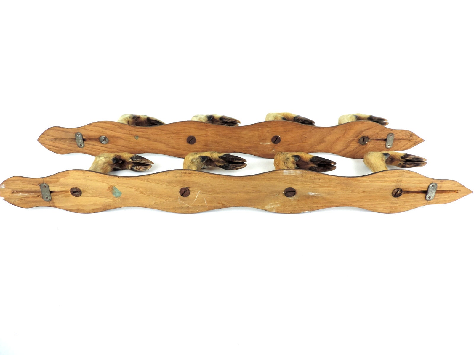 French Vintage Large Deer Hoof Rifle Racks Deer Feet Gun Etsy