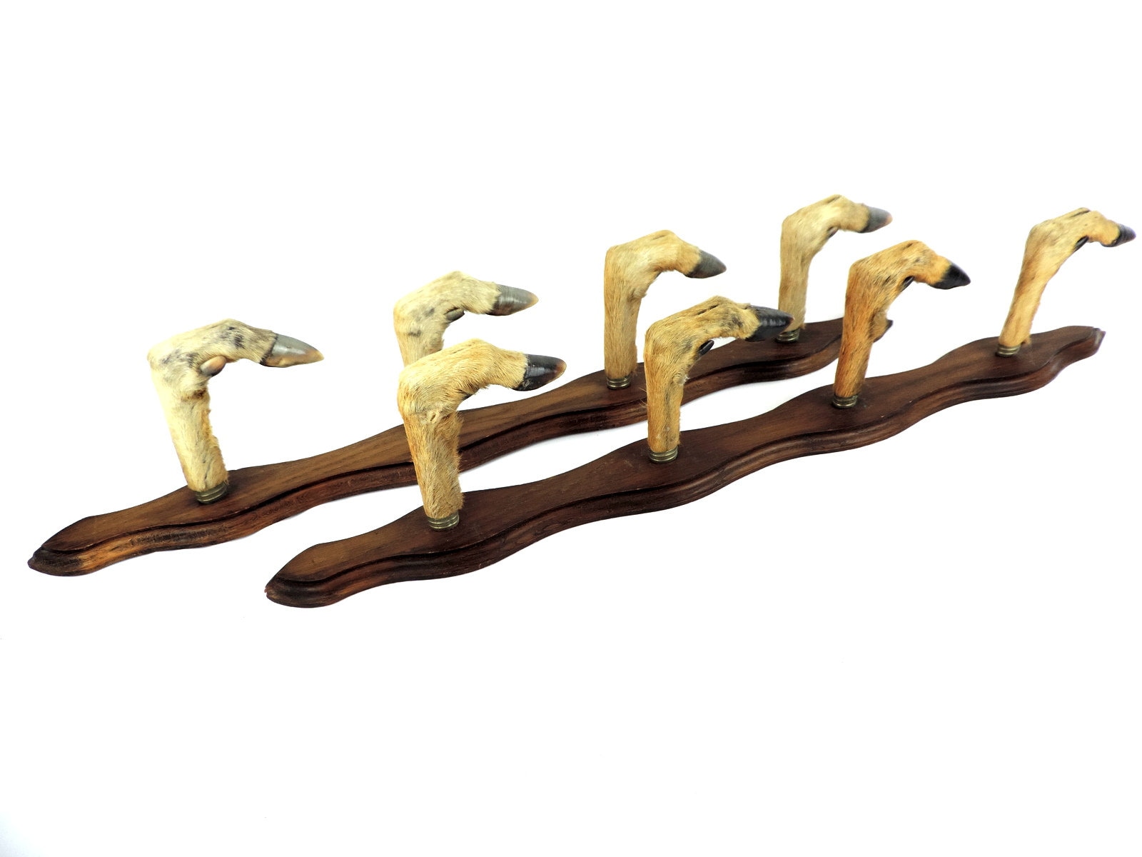 French Vintage Large Deer Hoof Rifle Racks Deer Feet Gun Etsy