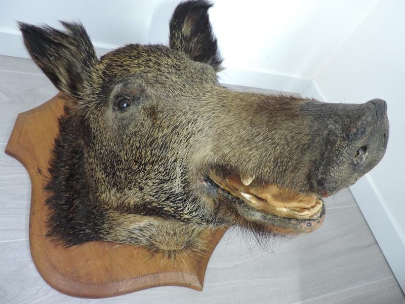 Green Man Decorazione Pietra Targa Da Parete Green Man In Pietra - Ornamento Per Giardino, Pagano, Misura 24 Cm (9.5"), Colore Verde, Con Omaggio - Foto 7