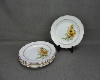 French Vintage Gien Porcelain Dinner Plates: Marguerite Floral Set of 6