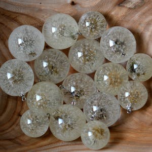 Löwenzahn Halskette Harz Schmuck Löwenzahn Kugel Anhänger Geschenk für Frauen Natur Schmuck Eco Schmuck Chirurgenstahl Echte Löwenzahn Eco Geschenk