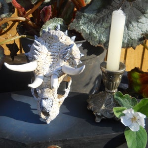 Gremlin/Dragon Skull- 5 Horns