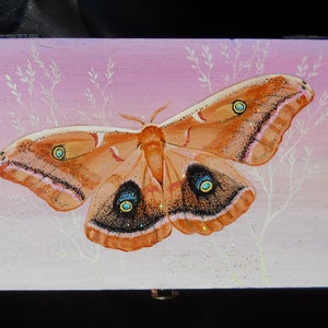 Hand Painted Wooden Box- Polyphemus Moth