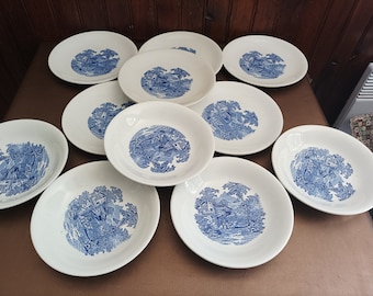 KG LUNÉVILLE -Lot de 11 assiettes dont 6 assiettes plates et 5 assiettes creuses décor bleu