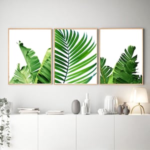 Leaf Prints Set of 3 Prints, Tropical Leaves, Nordic Prints, Minimalist art, Botanical Wall art Green Art Prints, Boho Home Decor, Palm Leaf