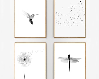 Nature Prints Set Botanical Posters Black White Wall art Birds Insects Dragonfly Hummingbird Scandinavian Print Minimalist art Boho Coastal