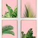 see more listings in the Botanical Prints section