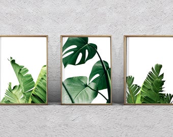 Set of 3 Leaf Prints Foliage Green Wall art Banana Leaf Palm Monstera Tropical Decor Coastal Art Minimalist Poster Large Printable Botanical