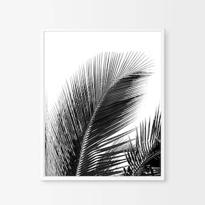 Impression noir et blanc photographie Tropical feuillage minimaliste Wall Art Boho Home Decor plage côtière Monochrome Art scandinave de feuilles de palmier