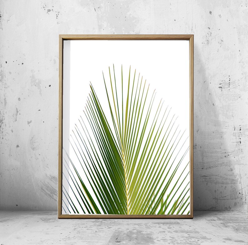 Set of 4 Tropical Leaves, Leaf Prints set, Green Wall art, Minimalist Posters, Palm Leaf Banana Leaf Tropical Wall art Nordic Nature Prints image 3