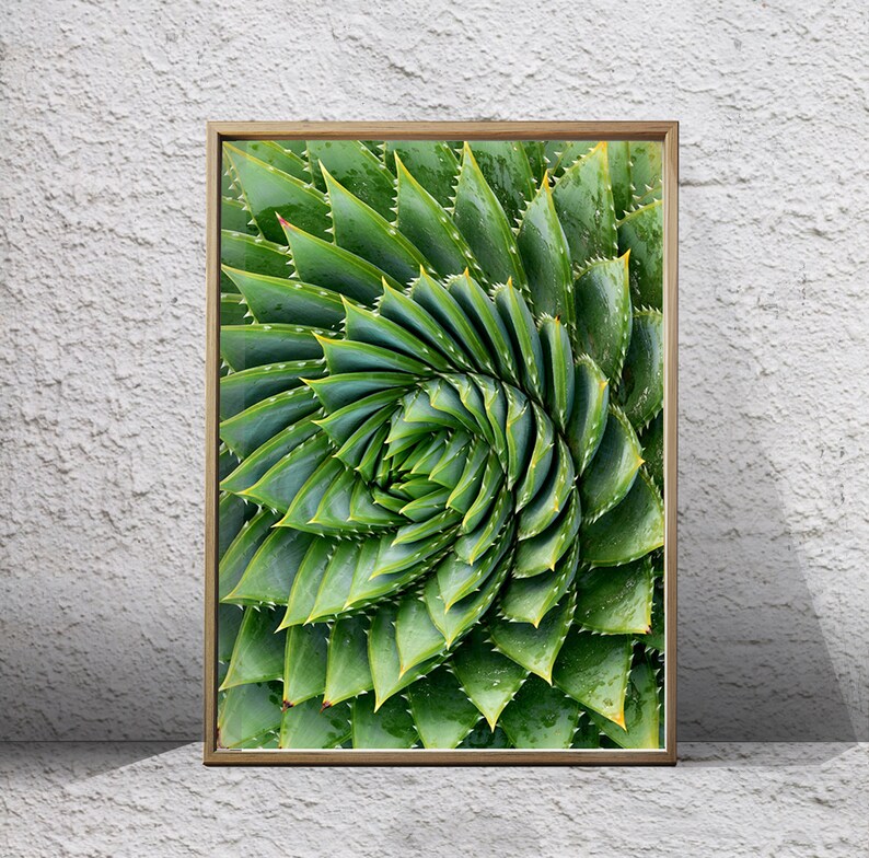 Cactus Print Cactus Wall Art Green Wall Art Minimalist Etsy