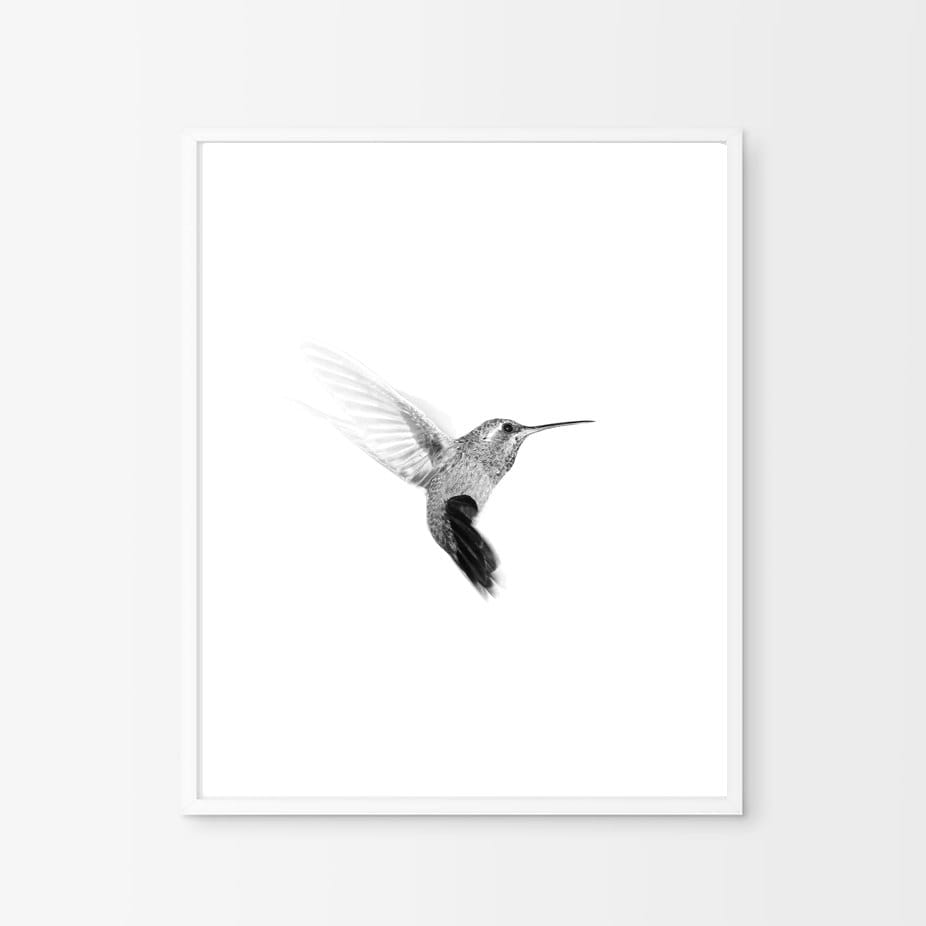 Etsy Art Nordic Print Scandinavian Photo Nature Bird and Colibri Minimalism Hummingbird Minimalist White Art - Printable Wall Print Black Poster