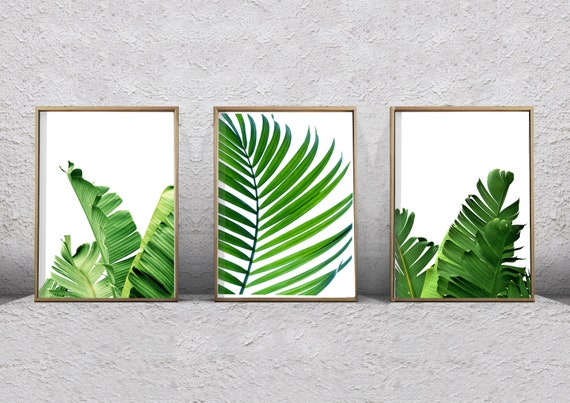 green leaves prints set nordic home decor Set of 3 botanical prints ...