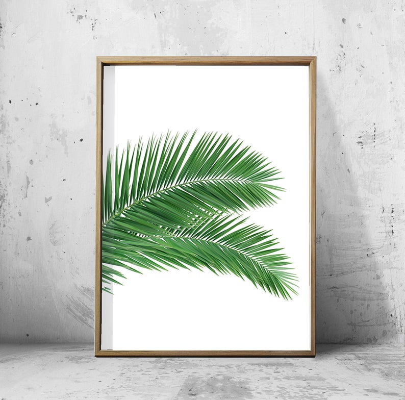 Set of 4 Tropical Leaves, Leaf Prints set, Green Wall art, Minimalist Posters, Palm Leaf Banana Leaf Tropical Wall art Nordic Nature Prints image 5