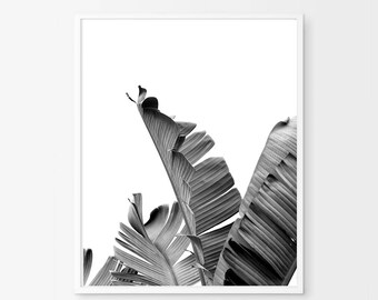 Black and White Banana Leaf Print Botanical Poster Tropical - Etsy
