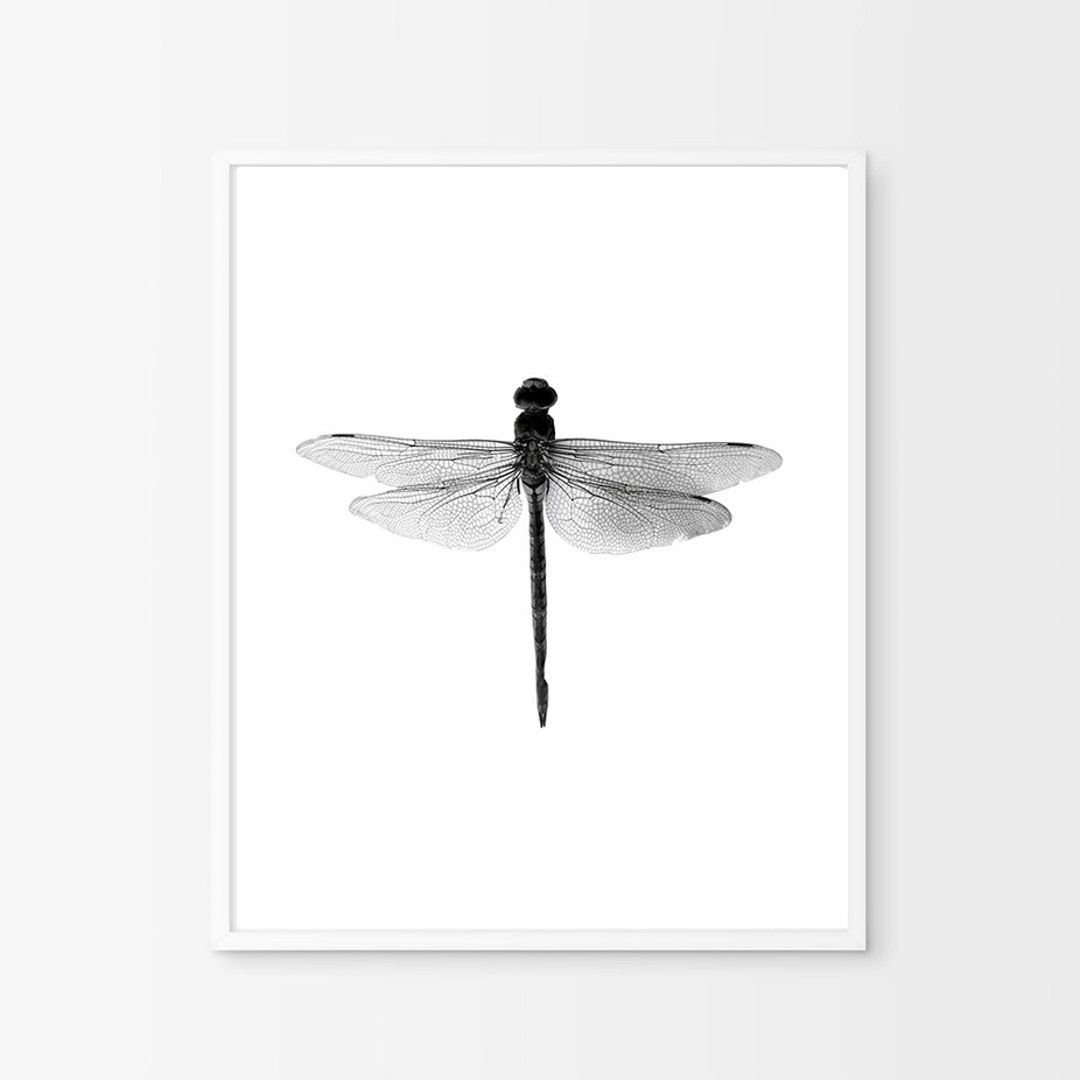 Dragonfly Print Insect Art Print Black and White Wall Art Etsy