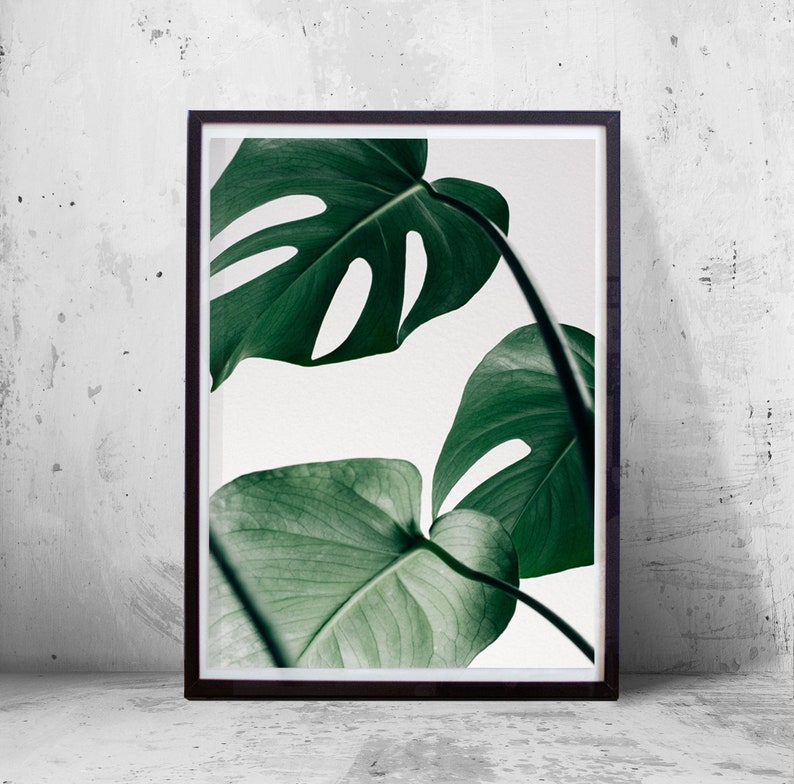 Monstera Leaf Leaf Art Print Scandinavian Printable Art Banana - Etsy