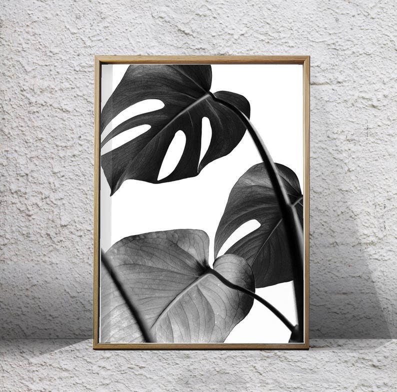 Botanical Prints Set Black and White Wall Art Botanical Art Etsy