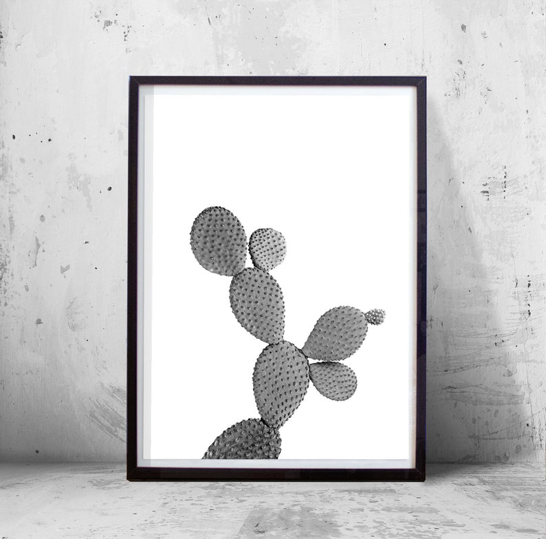 Cactus Wall art Black and White Art Print Minimalist Poster Scandinavian Art Boho Decor Plant Desert Cacti Opuntia Botanical Printable art